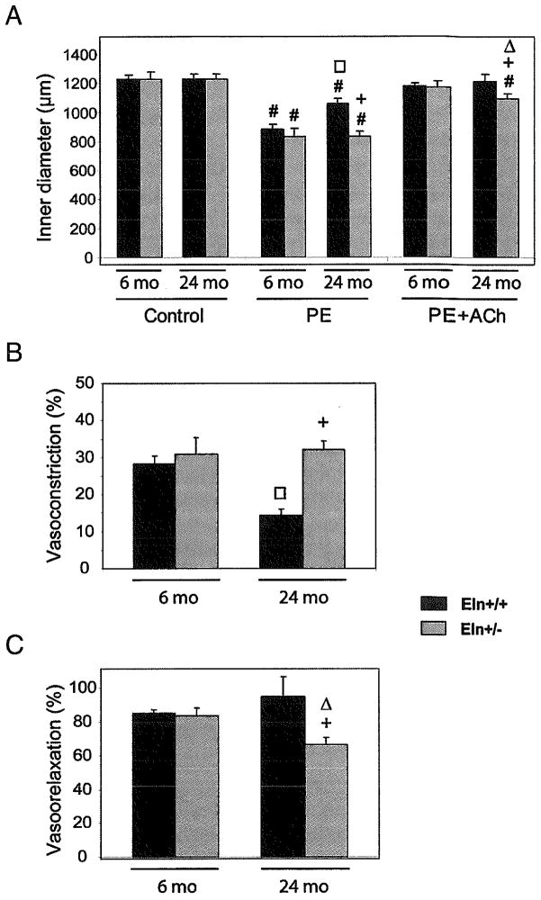 FIG. 6