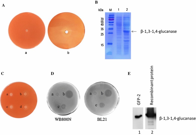 Fig. 4