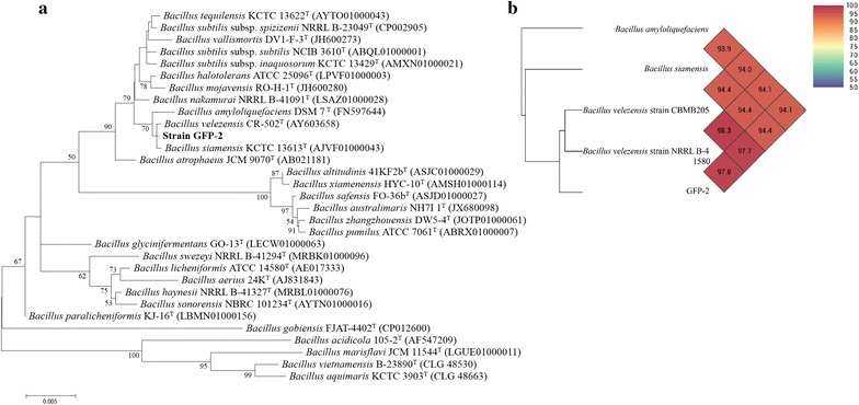 Fig. 2