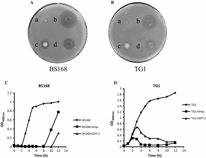 Fig. 1