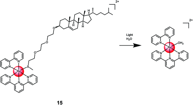 Fig. 10.