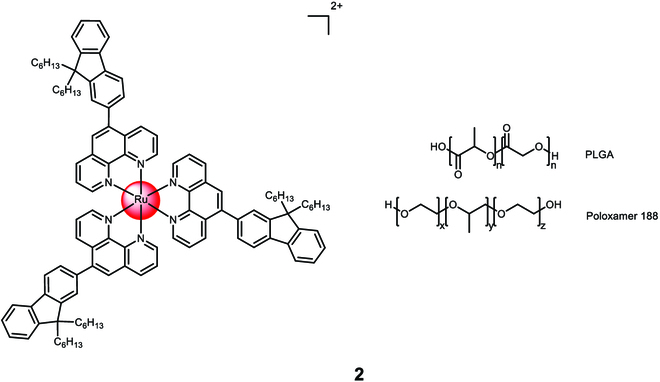 Fig. 2.