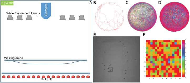 Fig 1