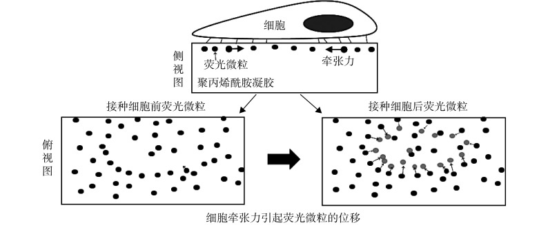 图 2