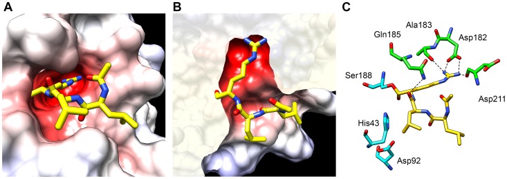 Figure 7