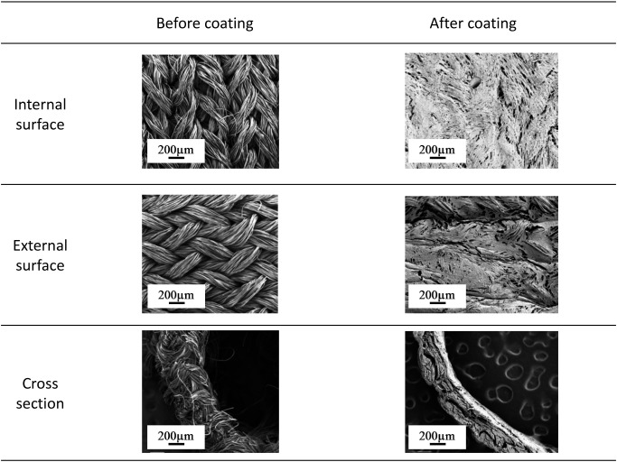 Fig. 2 Appearance of the internal and external surfaces of silk fibroin grafts via scanning electron microscopy before and after coating.