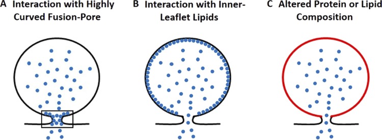 Figure 11.