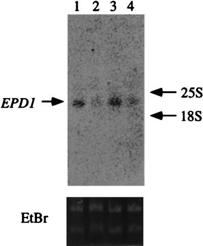 FIG. 8