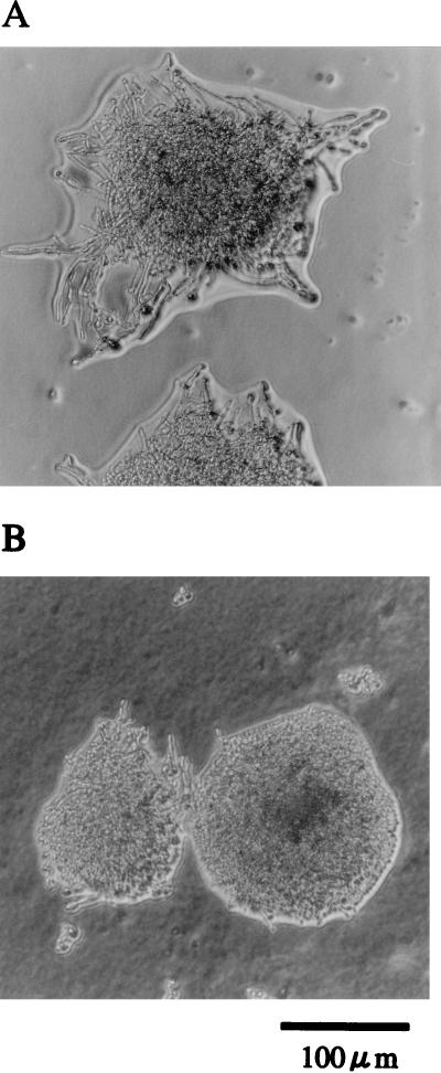 FIG. 9