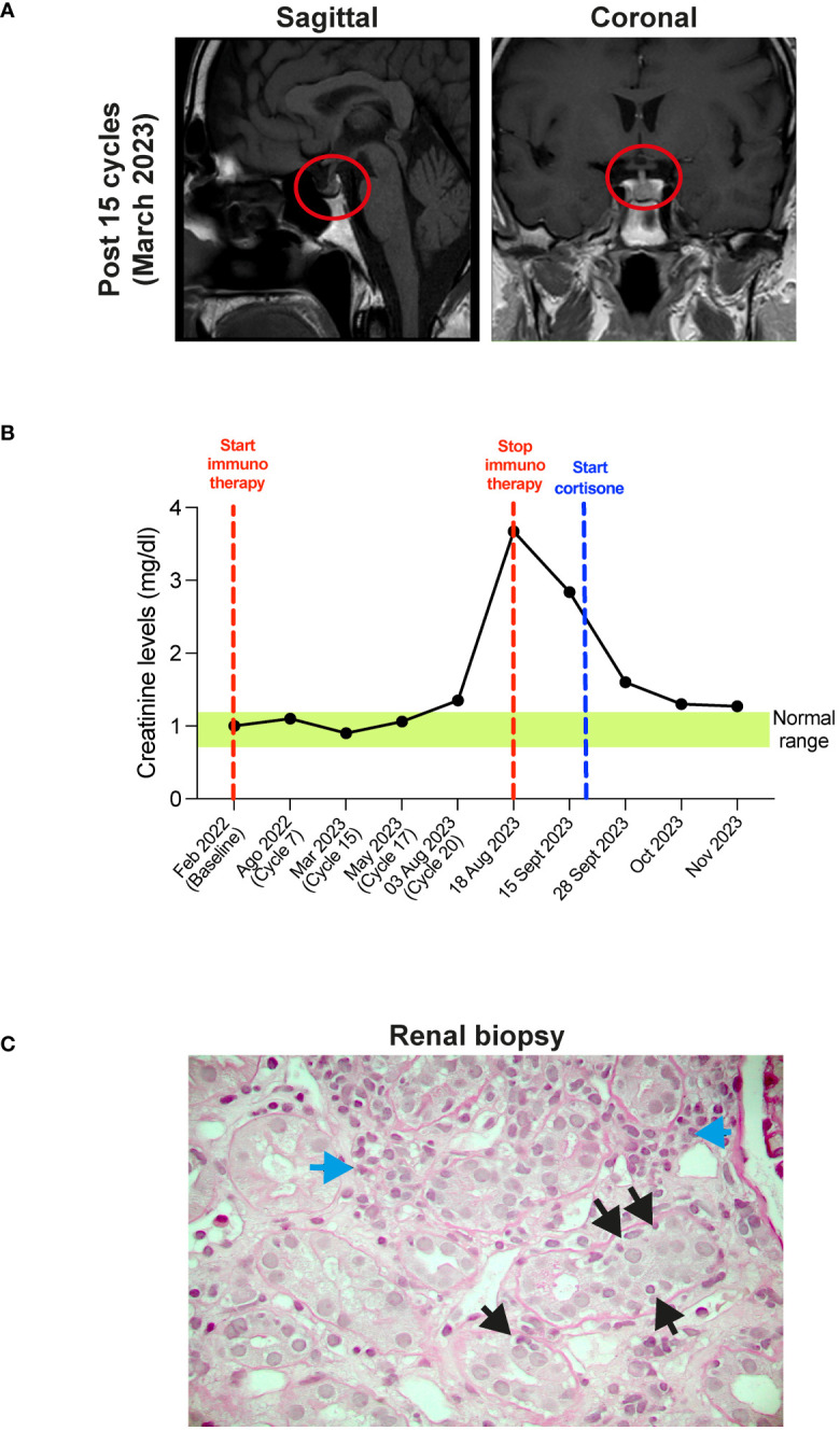 Figure 2