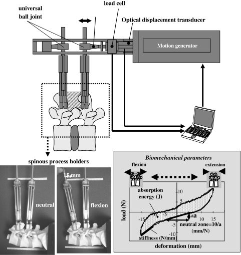 Fig. 1