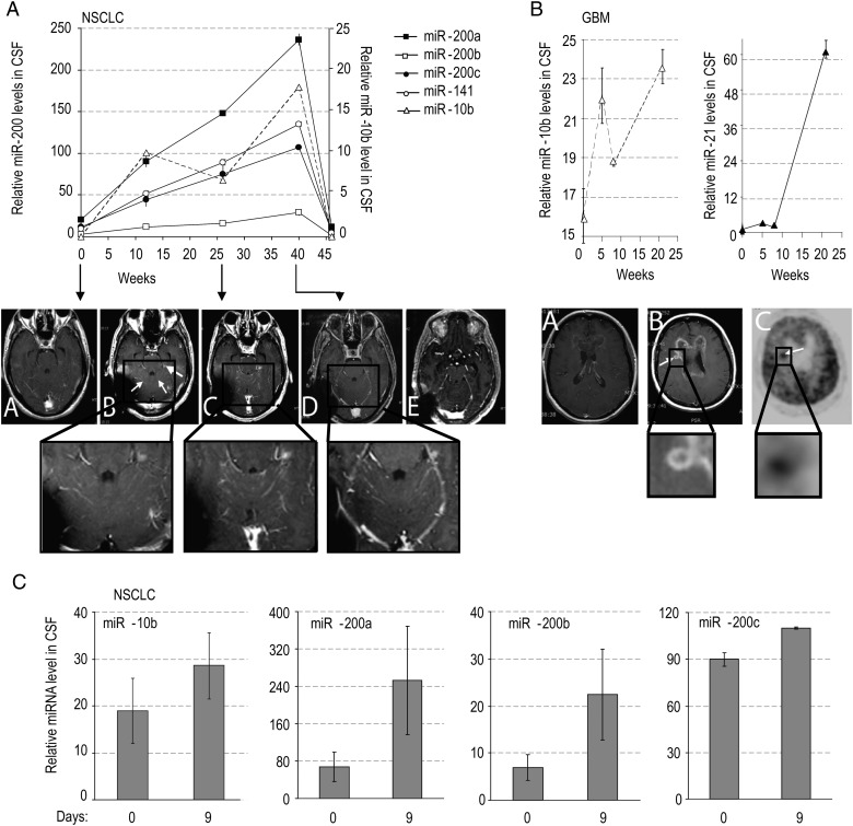 Fig. 4.