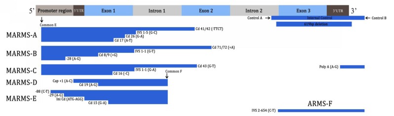 Figure 1a: