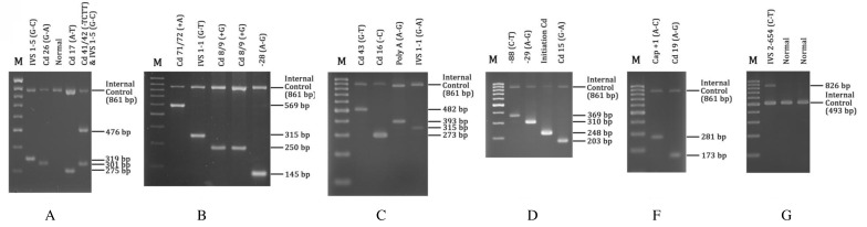 Figure 1b: