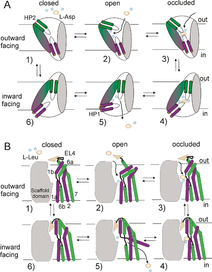 Fig. 8