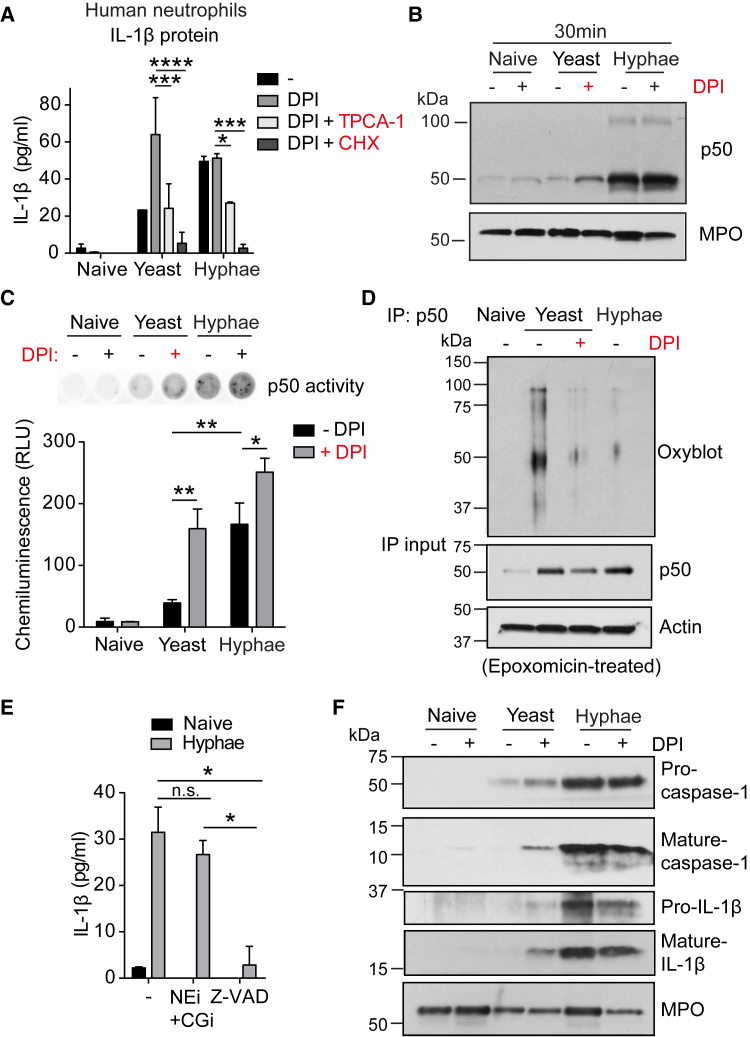 Figure 6