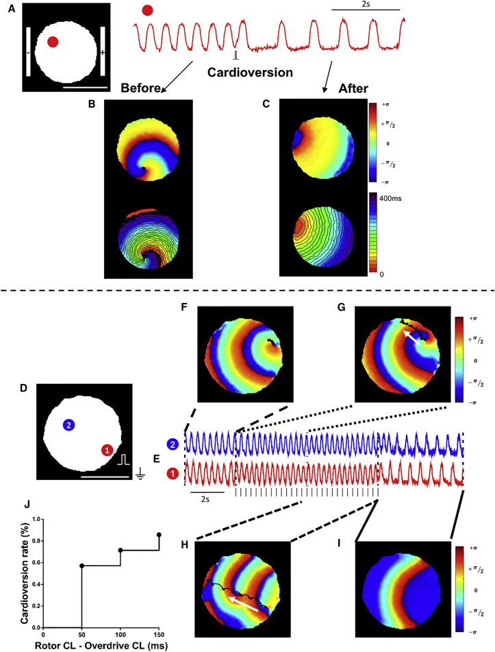 Figure 5