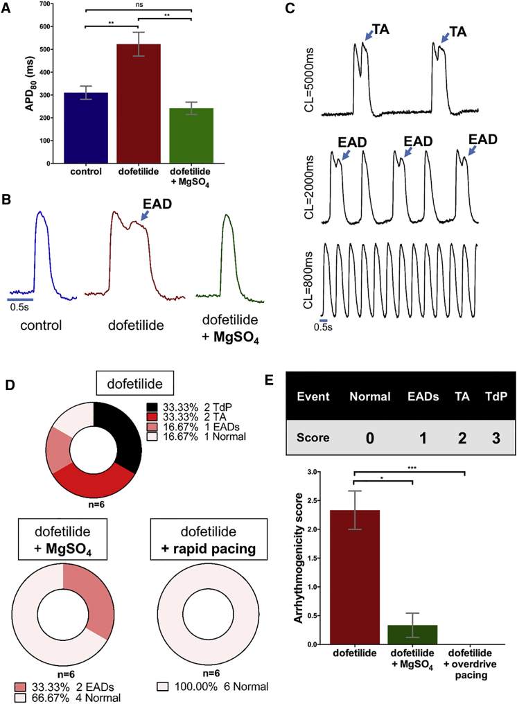 Figure 7