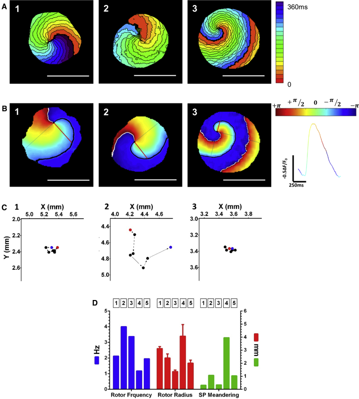 Figure 4