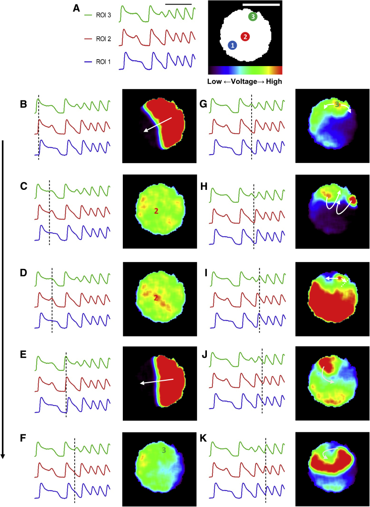 Figure 6