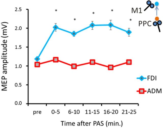 Figure 5.