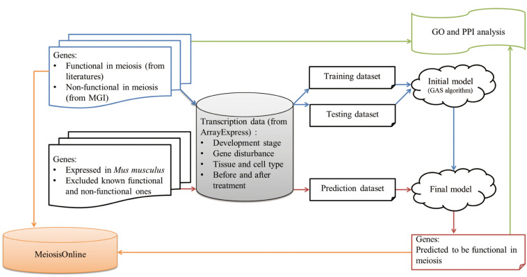 FIGURE 1