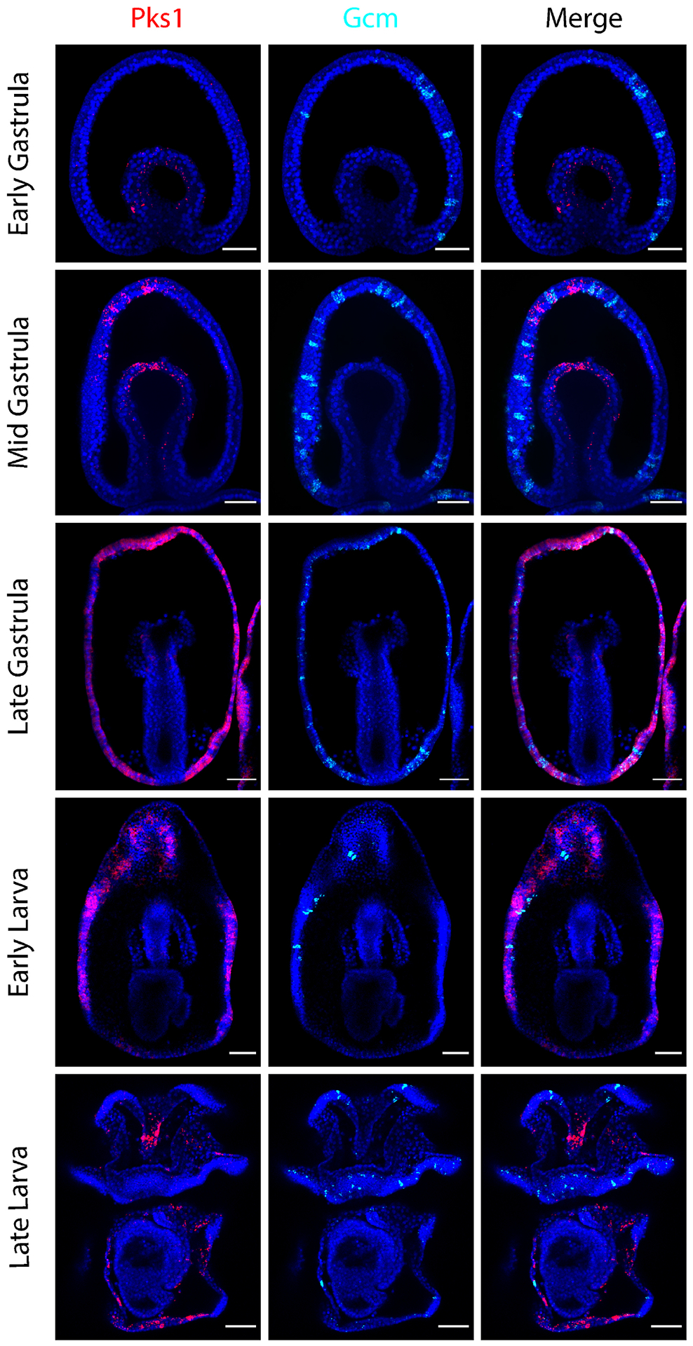 Figure 3.