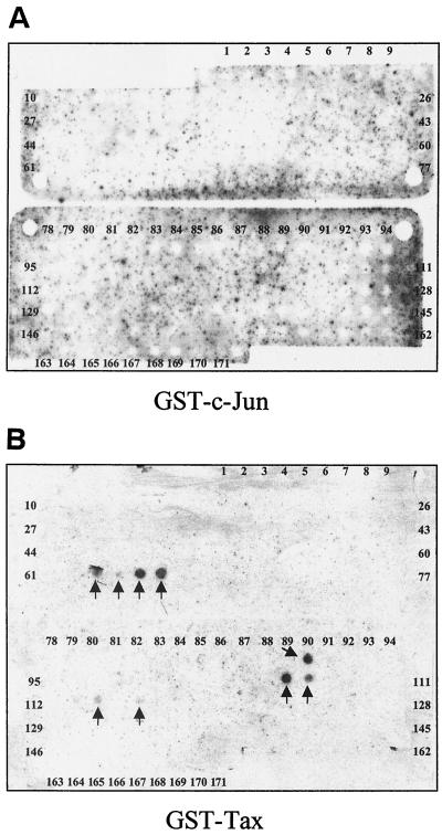 FIG. 4.