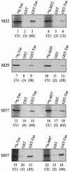 FIG. 7.