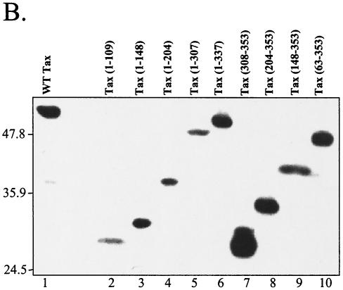 FIG. 1.