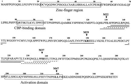 FIG. 5.