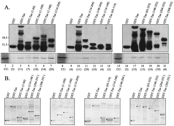 FIG. 2.