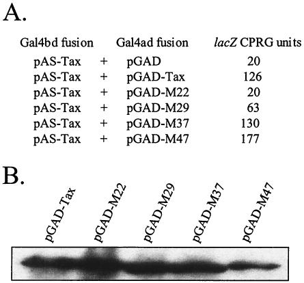 FIG. 6.