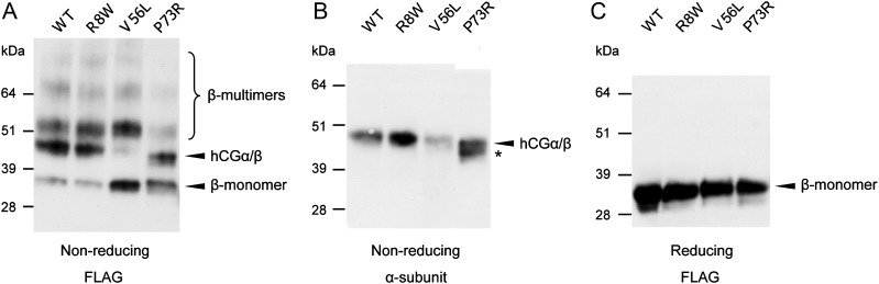 Figure 4