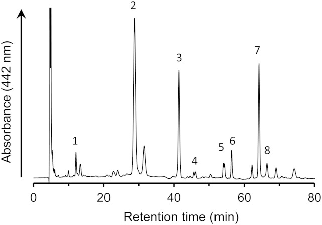 Fig. 6.