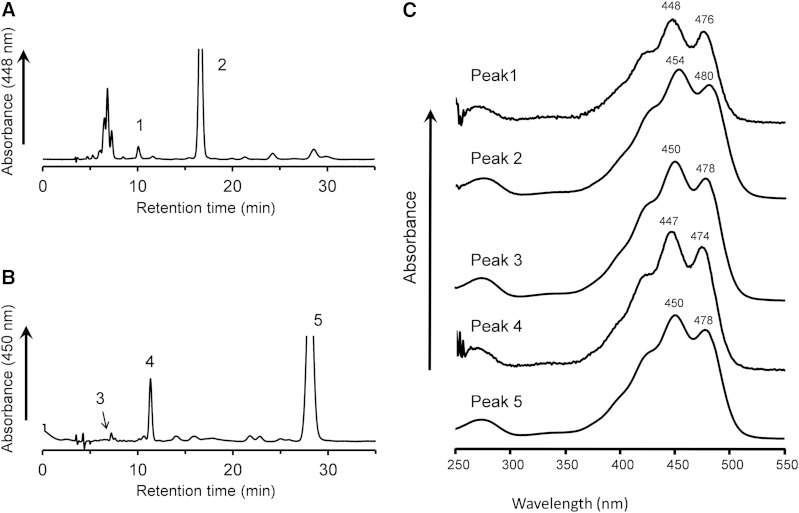 Fig. 5.