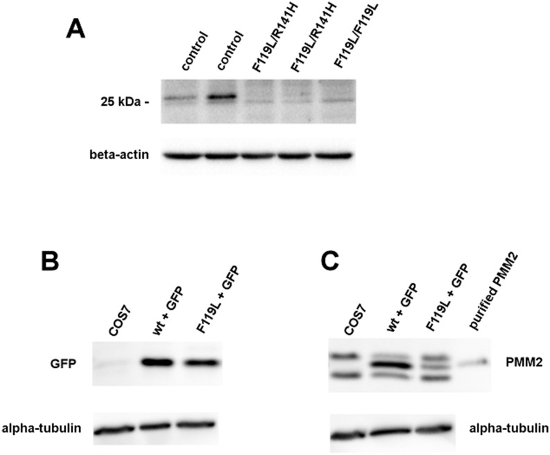 Fig 9