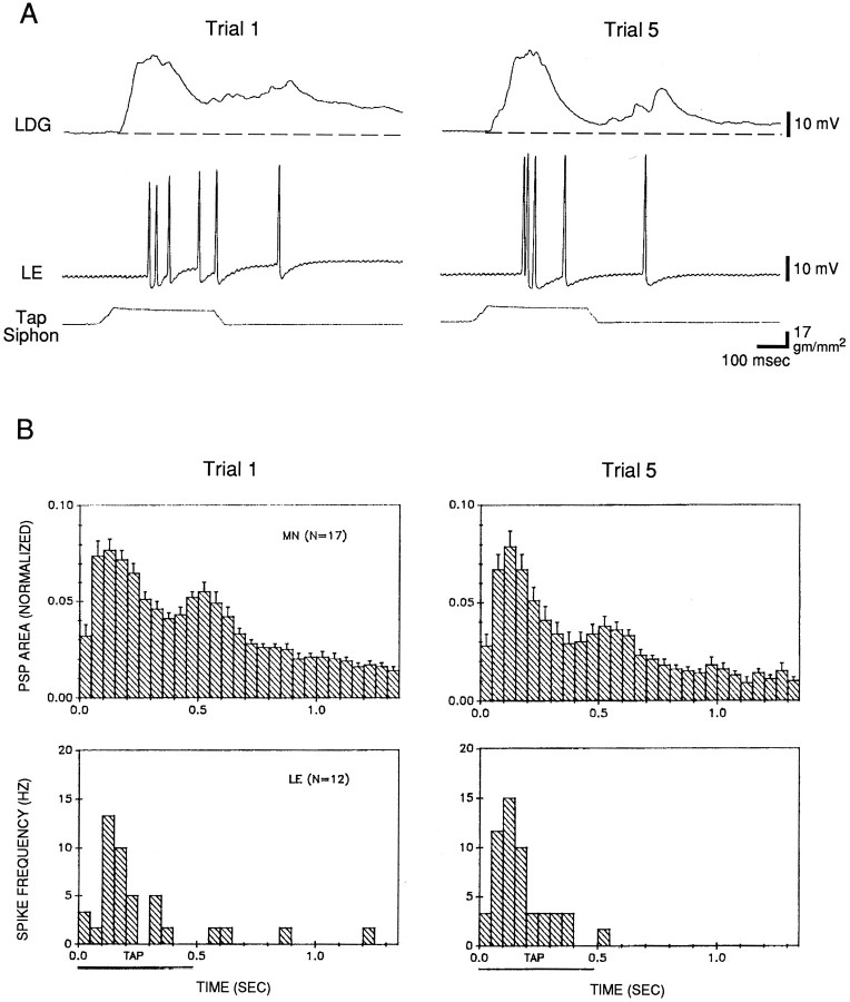 Fig. 8.