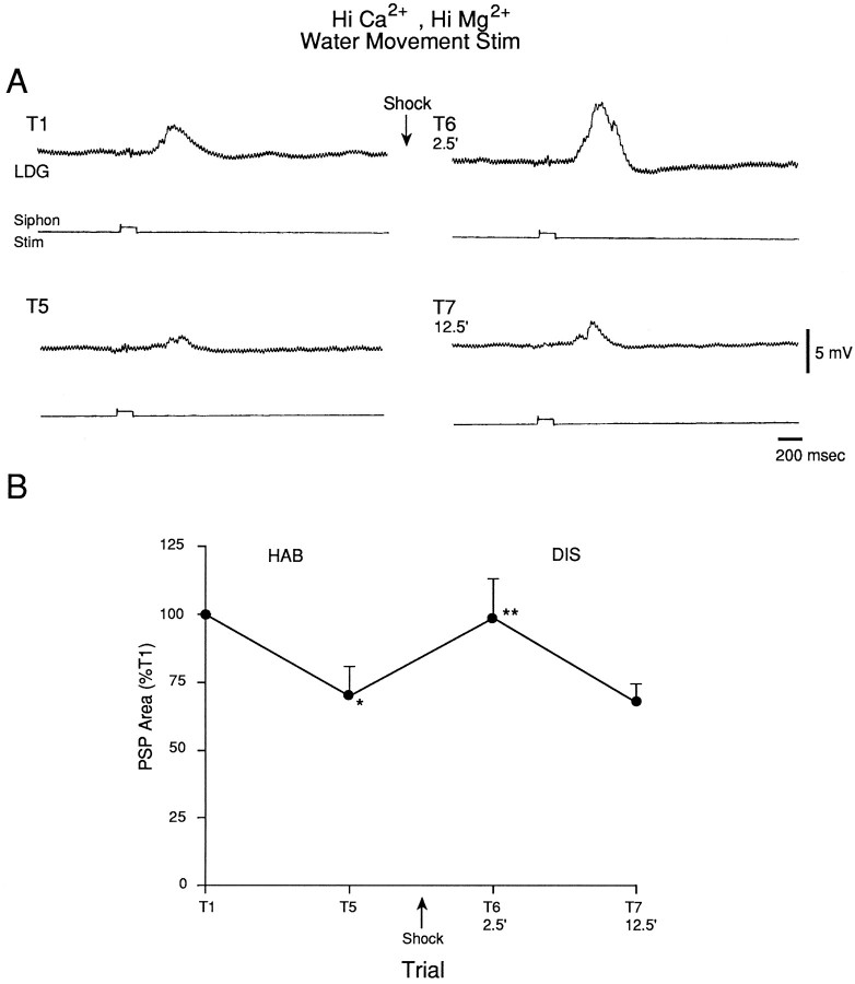 Fig. 10.