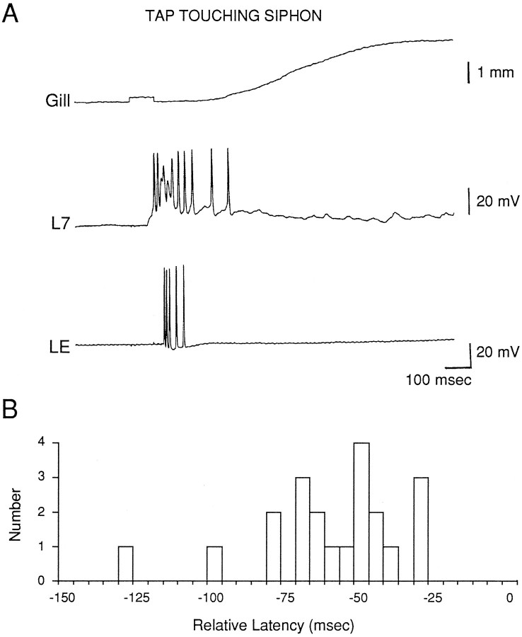 Fig. 2.