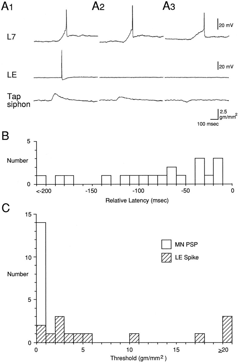 Fig. 3.