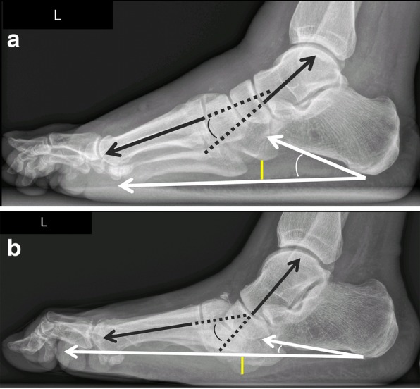 Fig. 10