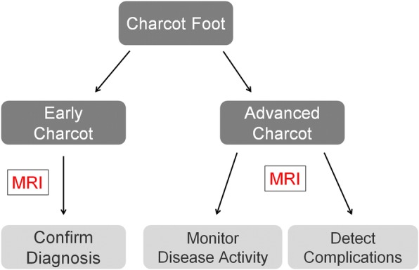 Fig. 12