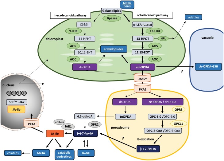 Fig. 4.