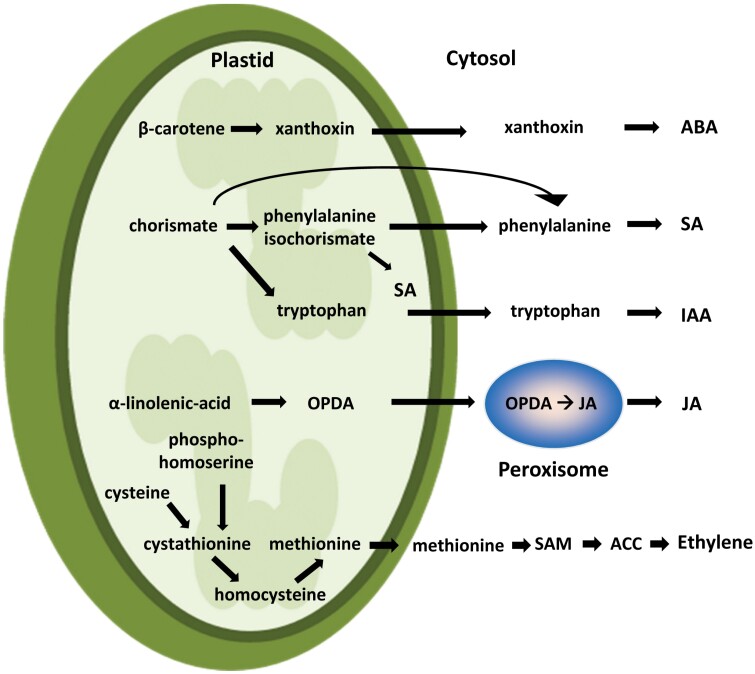 Fig. 1.