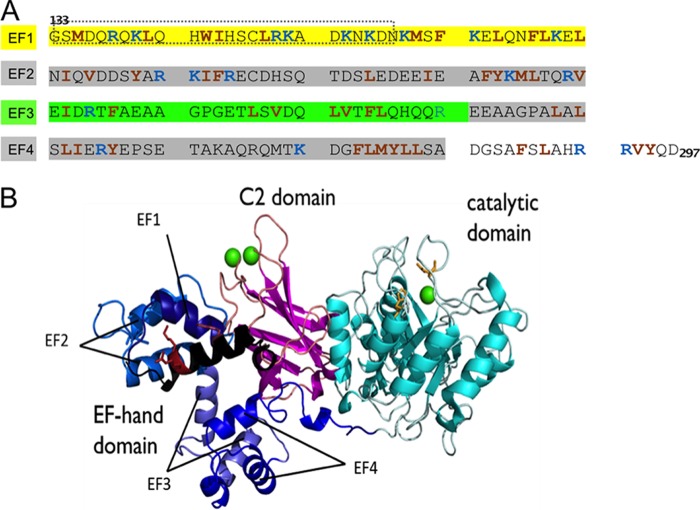 FIGURE 1.