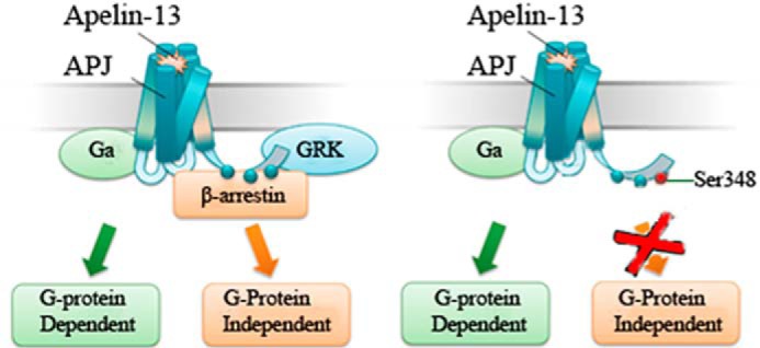 FIGURE 11.