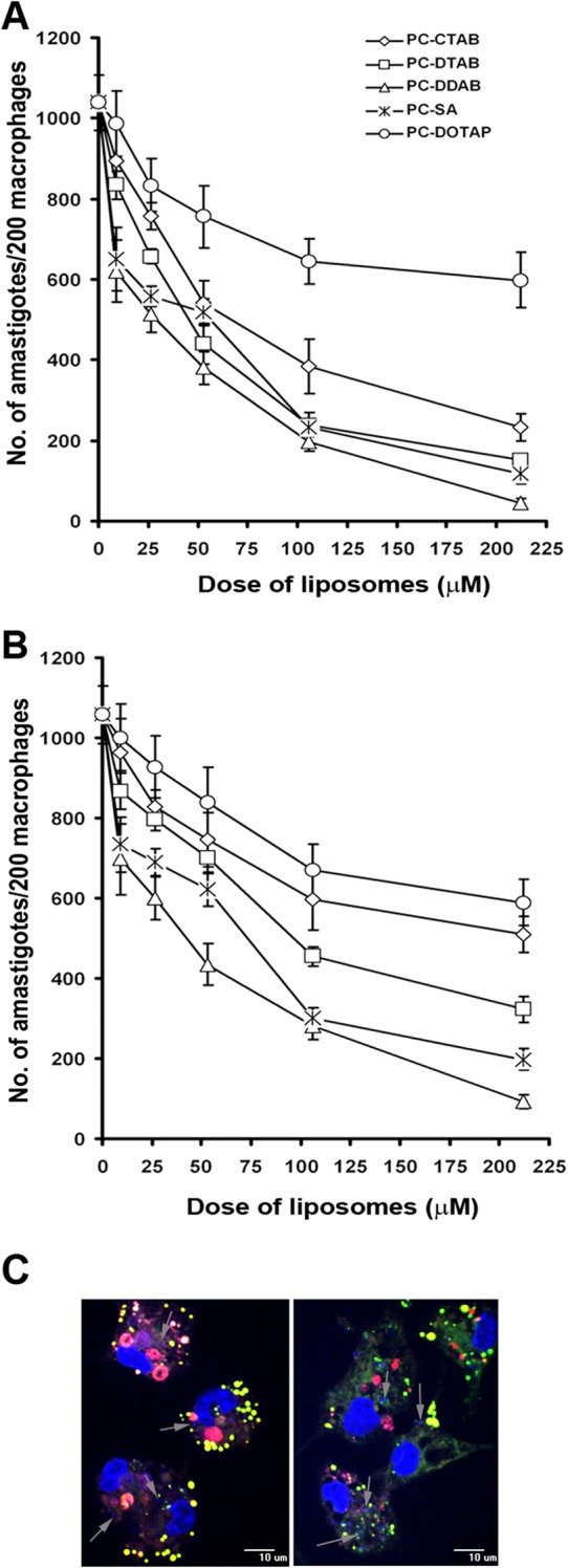 FIG 2