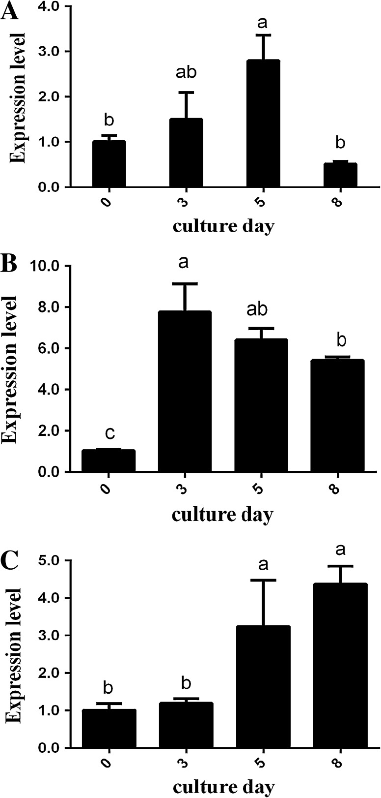 Fig. 4