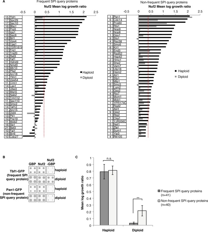 Figure 4—figure supplement 4.